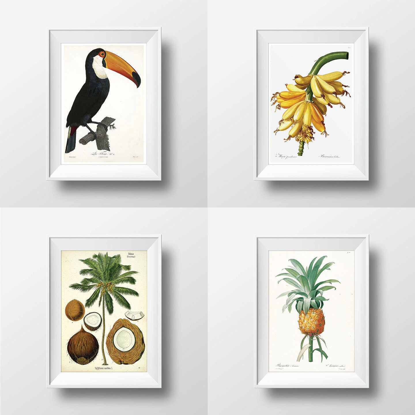 Best ideas about Tropical Wall Art
. Save or Pin Tropical Decor Tropical Wall Art Print Set of 4 Palm Tree Now.