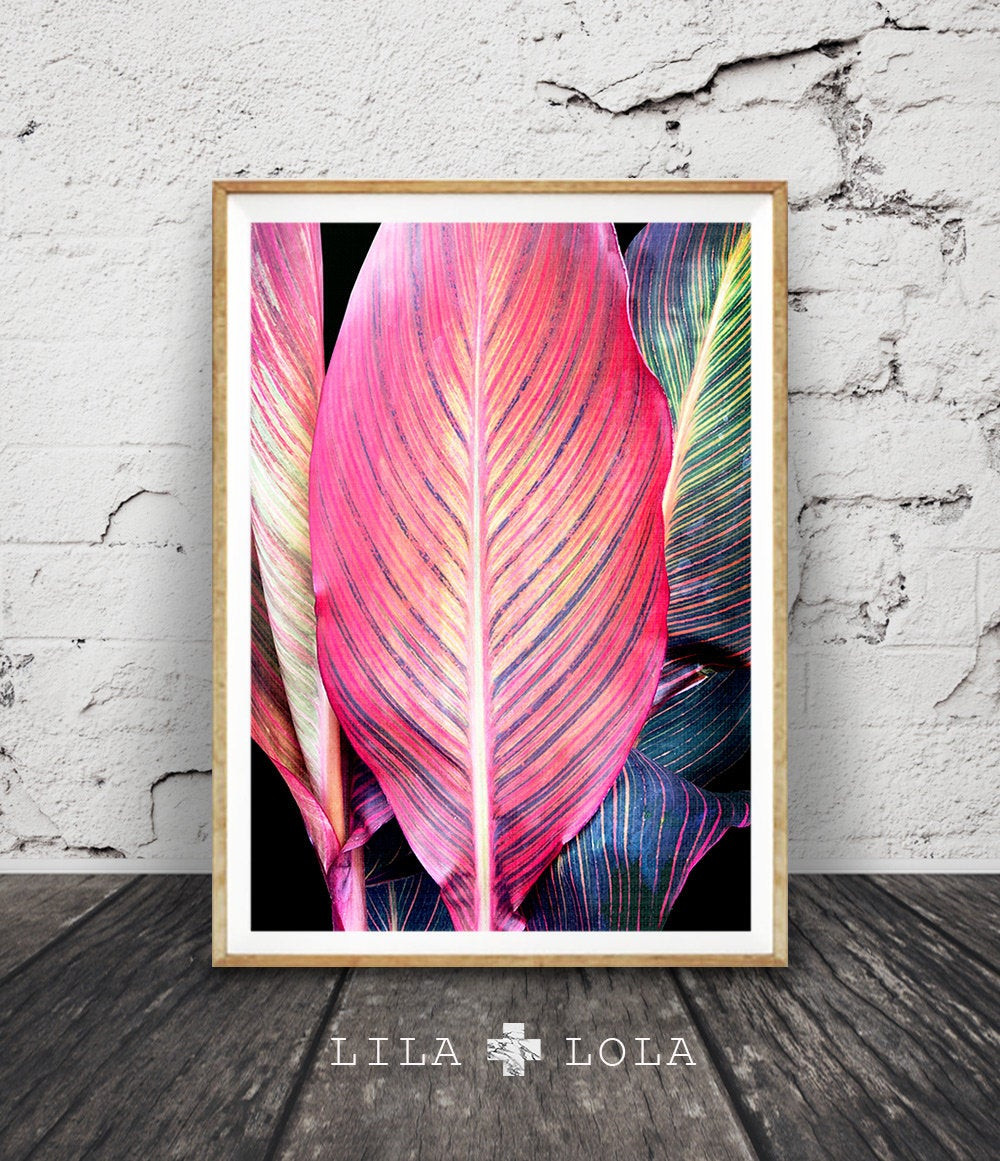 Best ideas about Tropical Wall Art
. Save or Pin Tropical Leaf Print Tropical Wall Art Colourful Decor Now.