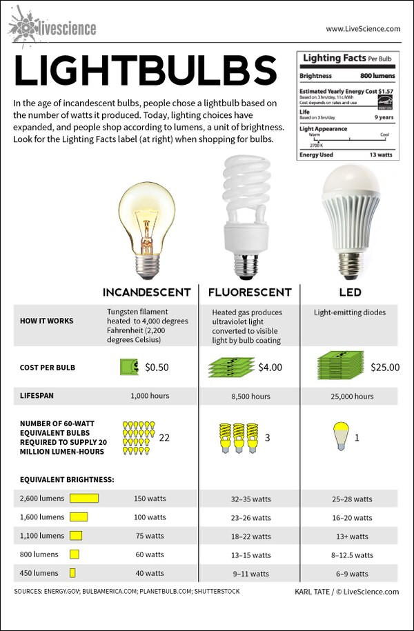Best ideas about Types Of Lighting
. Save or Pin Lightbulbs Incandescent Fluorescent LED Infographic Now.