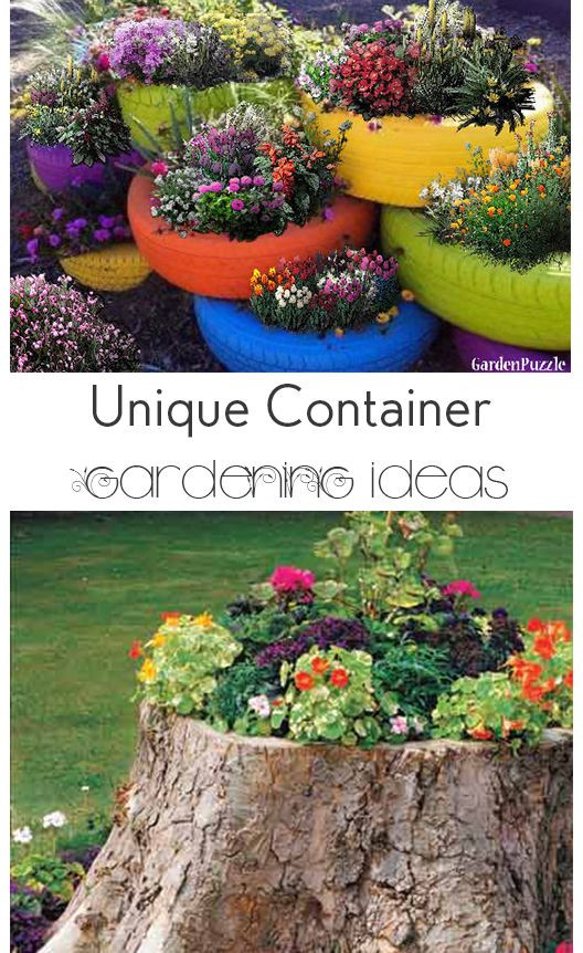 Best ideas about Unique Garden Ideas
. Save or Pin Unique Ideas for Container Gardening Now.