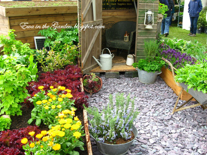 Best ideas about Veggie Garden Ideas
. Save or Pin Ewa in the Garden Cute ve able garden ideas Now.