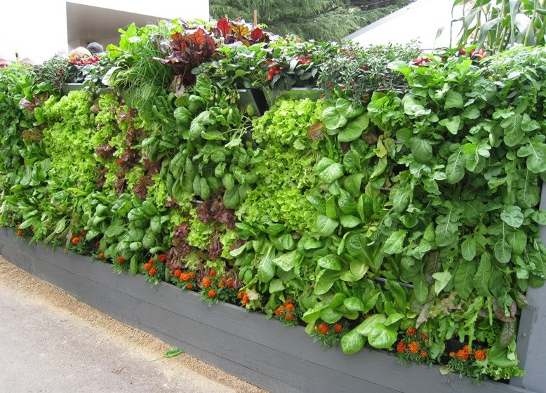 Best ideas about Veggie Garden Ideas
. Save or Pin 20 Vertical Ve able Garden Ideas Now.