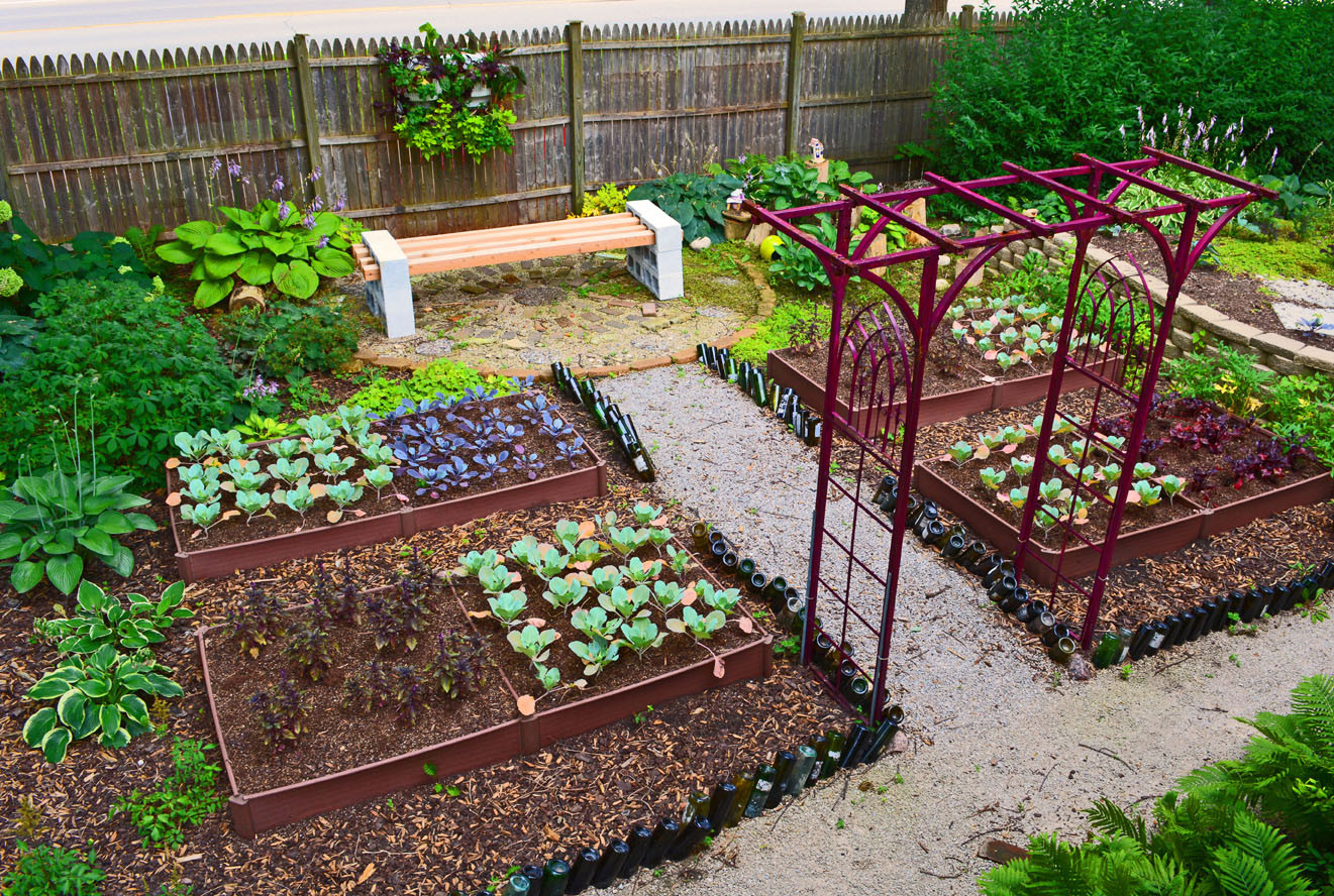 Best ideas about Veggie Garden Ideas
. Save or Pin Shade Garden Design Technique Ve able Color Blocking Now.