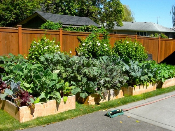 Best ideas about Veggie Garden Ideas
. Save or Pin 40 ve able garden design ideas What you need to know Now.