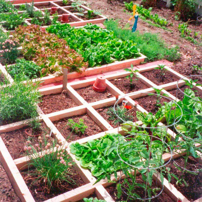 Best ideas about Veggie Garden Ideas
. Save or Pin Mountain Gardening Small Space Ve able Gardening Now.