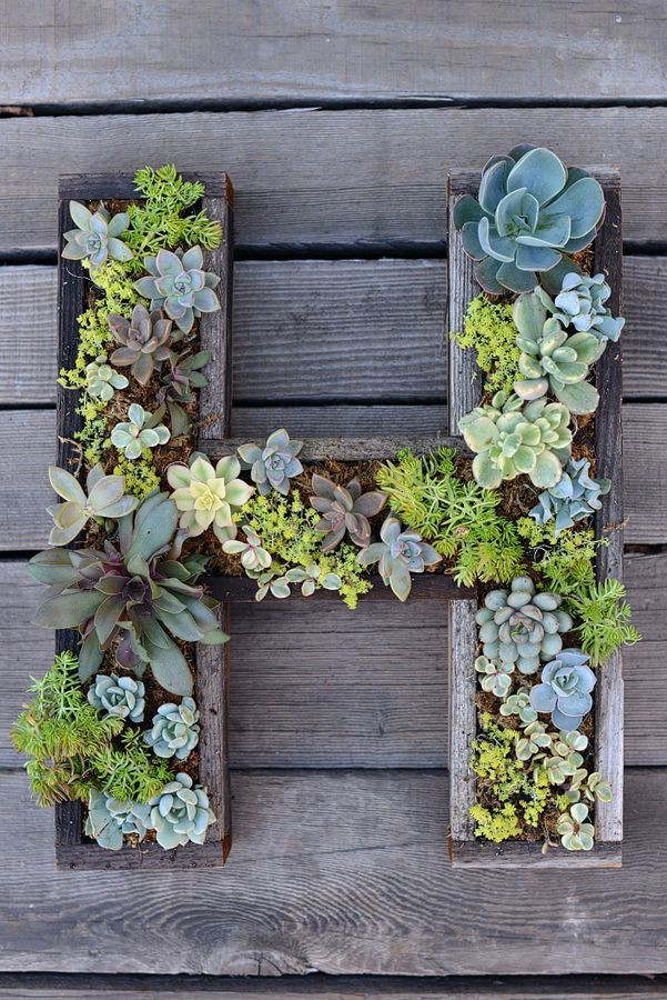 Best ideas about Vertical Garden Diy
. Save or Pin 25 Creative DIY Vertical Gardens For Your Home Now.