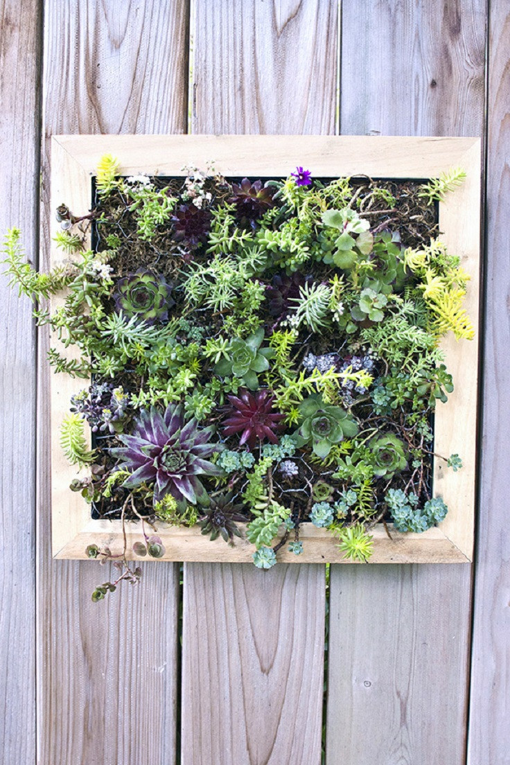 Best ideas about Vertical Garden Diy
. Save or Pin TOP 10 DIY Outdoor Succulent Garden Ideas Top Inspired Now.