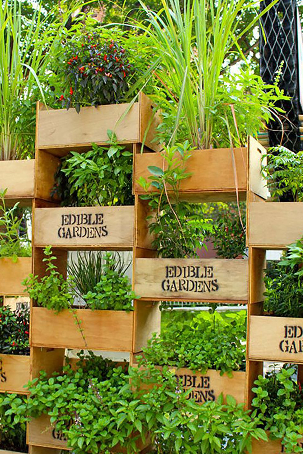 Best ideas about Vertical Garden Diy
. Save or Pin 22 Awesome DIY Vertical Garden Ideas That Will Refresh Now.