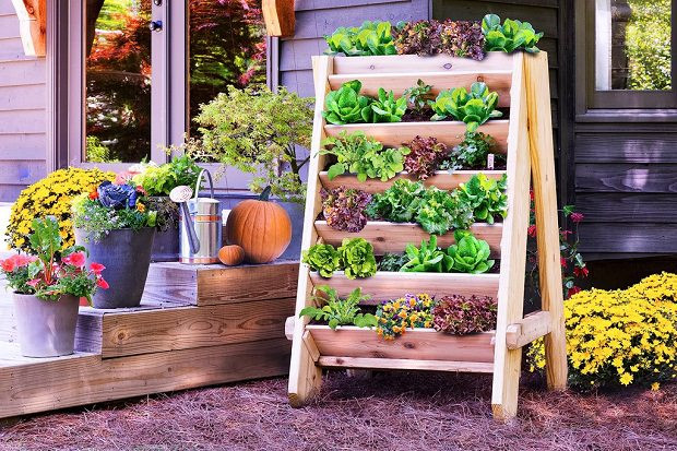 Best ideas about Vertical Garden Ideas
. Save or Pin 16 Genius Vertical Gardening Ideas For Small Gardens Now.