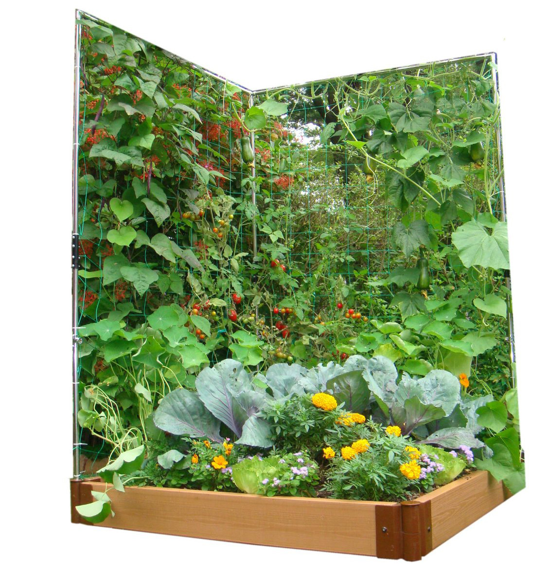 Best ideas about Vertical Garden Ideas
. Save or Pin 9 Ve able Gardens using Vertical Gardening Ideas Now.