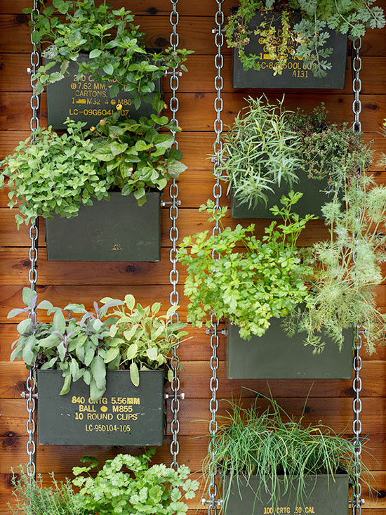 Best ideas about Vertical Garden Ideas
. Save or Pin Vertical Garden Ideas Now.