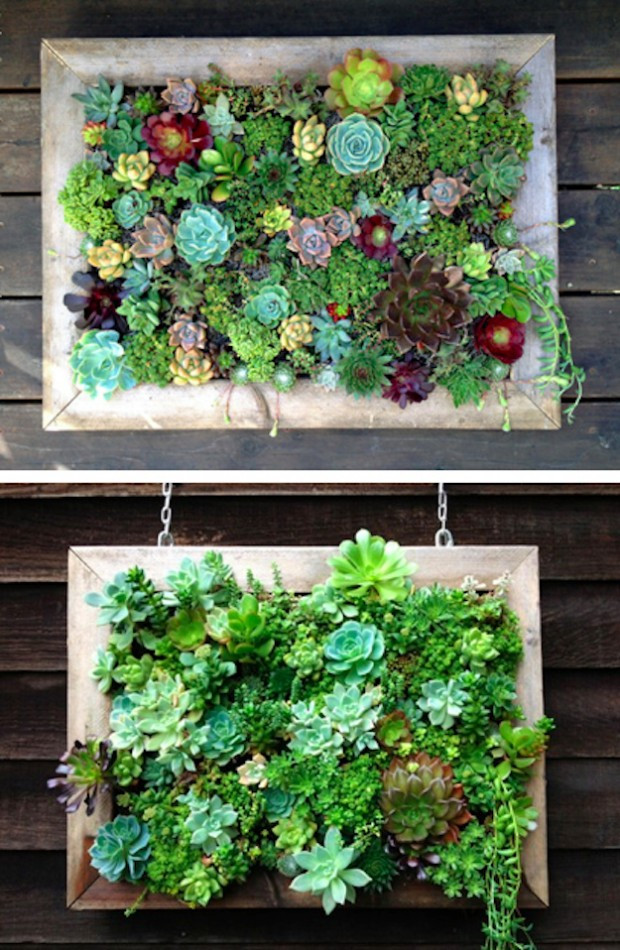 Best ideas about Vertical Garden Ideas
. Save or Pin 15 Inspiring and Creative Vertical Gardening Ideas and Now.