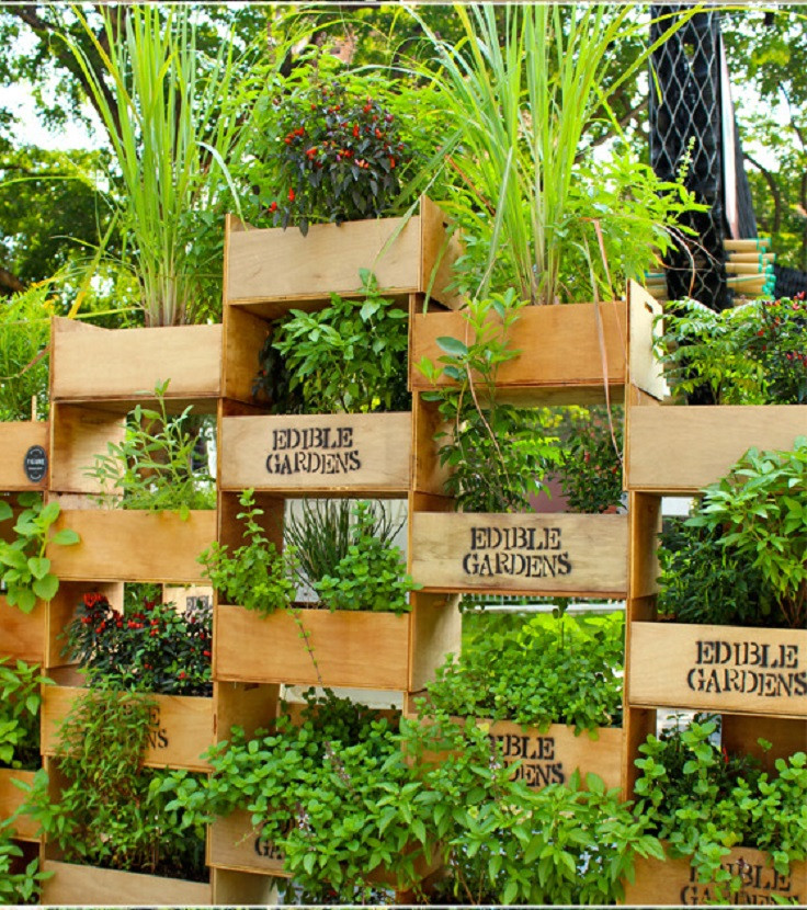 Best ideas about Vertical Garden Ideas
. Save or Pin Top 10 Cool Vertical Gardening Ideas Top Inspired Now.