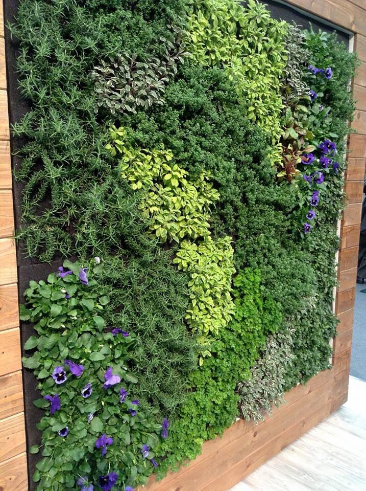 Best ideas about Vertical Gardening Wall
. Save or Pin Edible Living Wall Now.