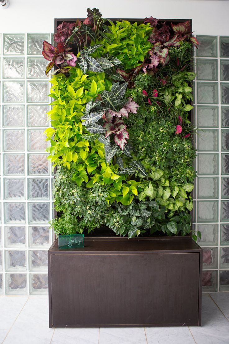 Best ideas about Vertical Gardening Wall
. Save or Pin Best 25 Wall planters ideas on Pinterest Now.