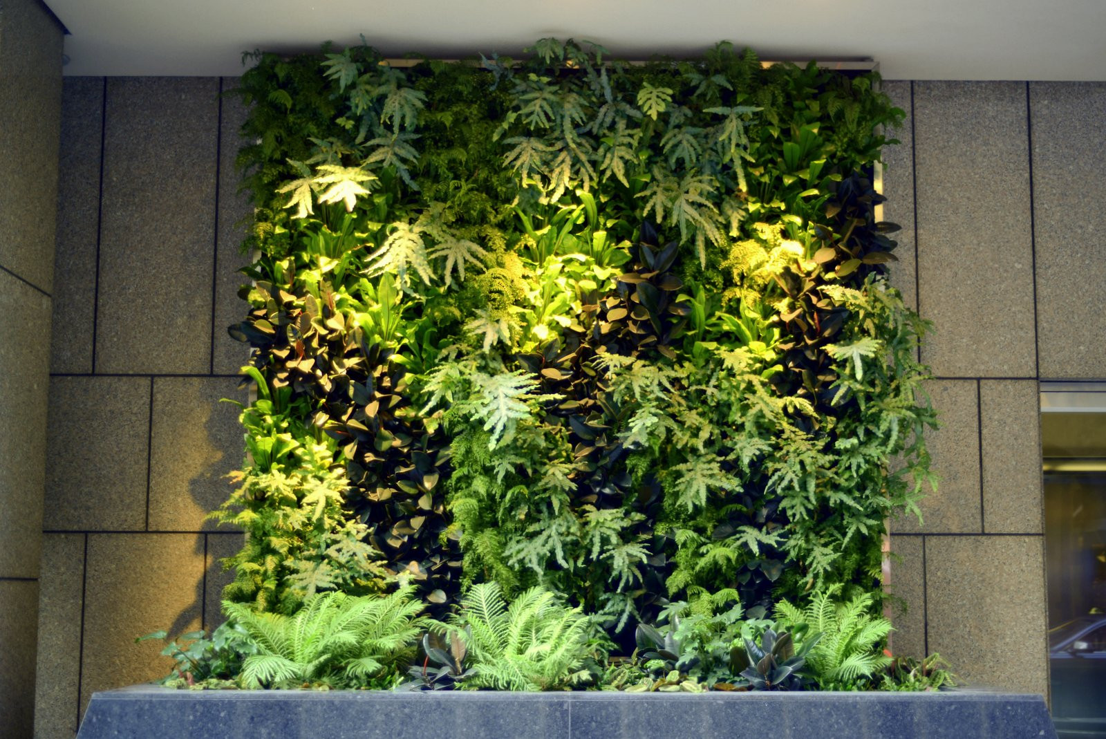 Best ideas about Vertical Gardening Wall
. Save or Pin Plants Walls vertical garden systems Now.