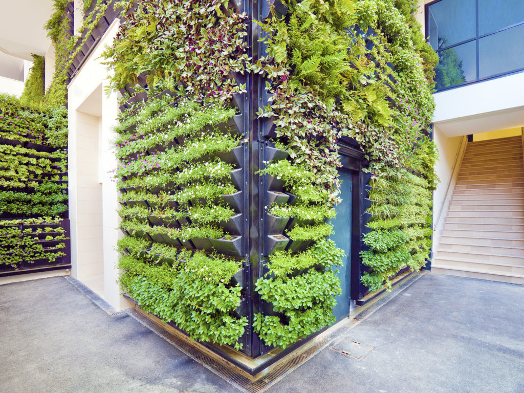 Best ideas about Vertical Gardening Wall
. Save or Pin Living Walls & Vertical Gardens Dr Weil s Garden Now.