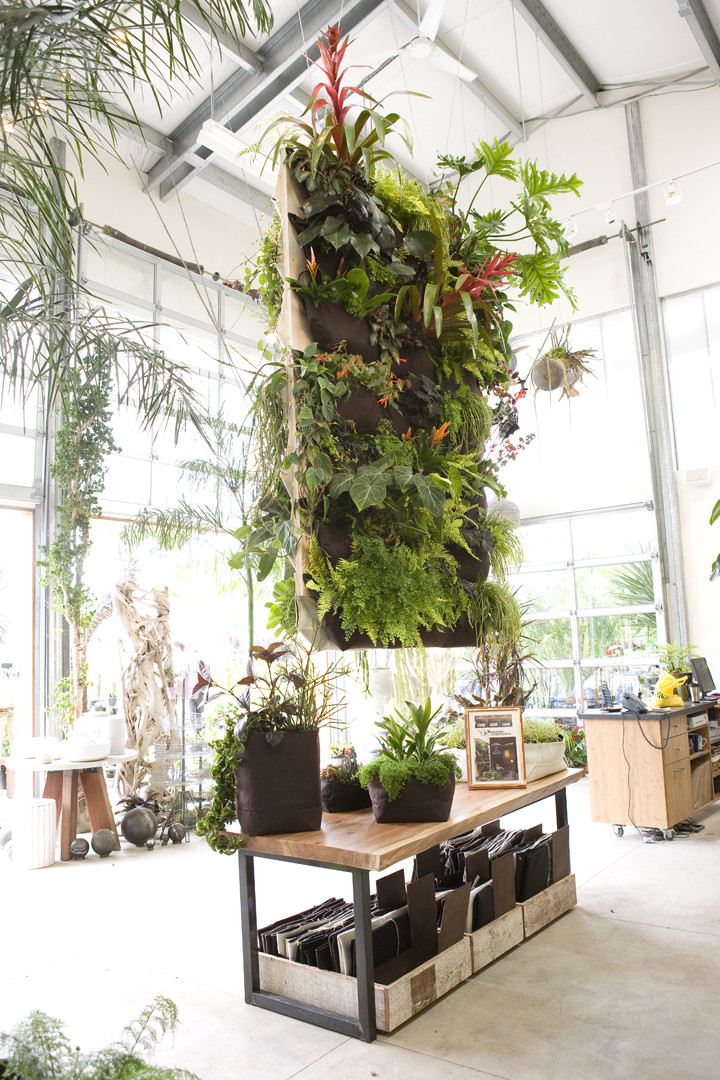 Best ideas about Vertical Indoor Garden
. Save or Pin Flora Grubb vertical gardens – wewastetime Now.