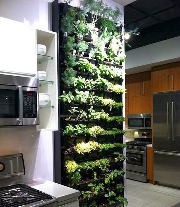 Best ideas about Vertical Indoor Garden
. Save or Pin 25 best ideas about Indoor Vertical Gardens on Pinterest Now.