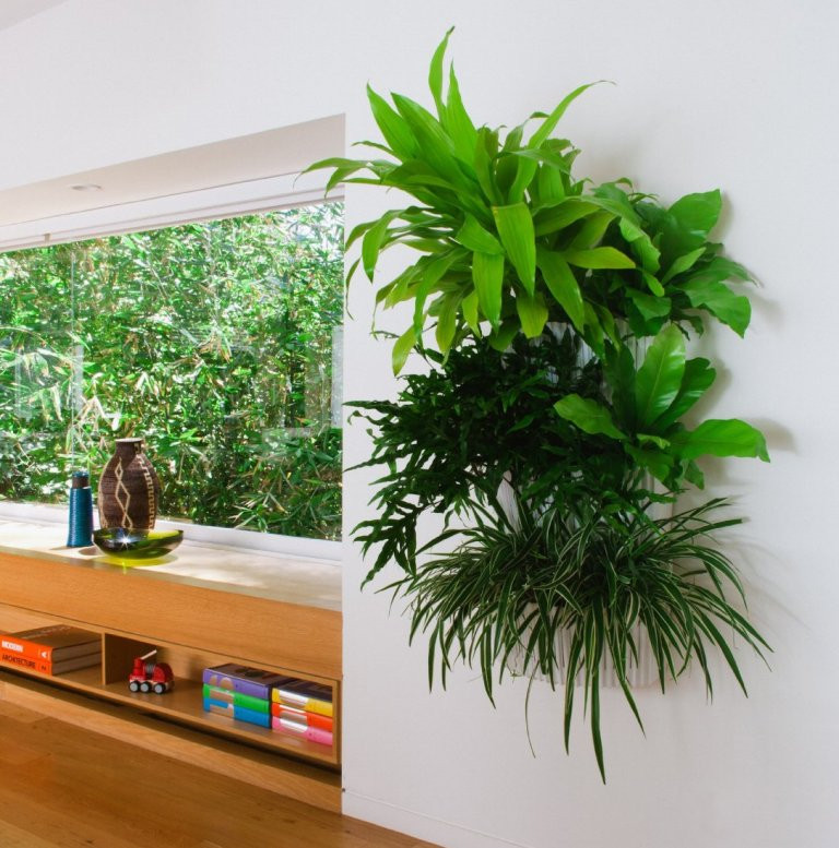 Best ideas about Vertical Indoor Garden
. Save or Pin vertical gardens Now.