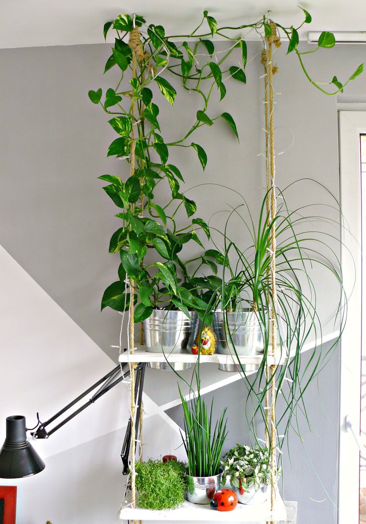 Best ideas about Vertical Indoor Garden
. Save or Pin Best 25 Indoor vertical gardens ideas on Pinterest Now.