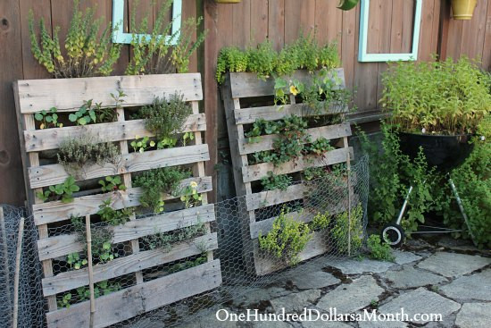 Best ideas about Vertical Pallet Garden
. Save or Pin Seattle Urban Farm School Tour e Hundred Dollars a Month Now.