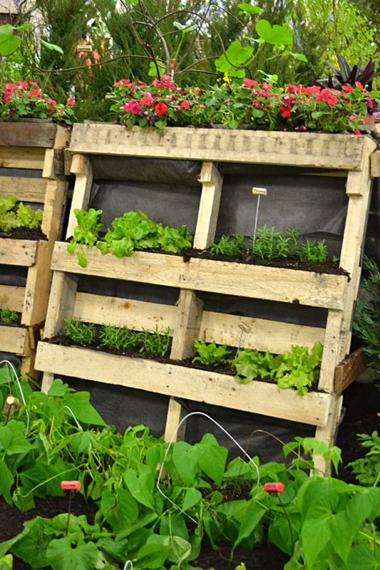 Best ideas about Vertical Pallet Garden
. Save or Pin Use trash to make vertical garden plant tags even Now.