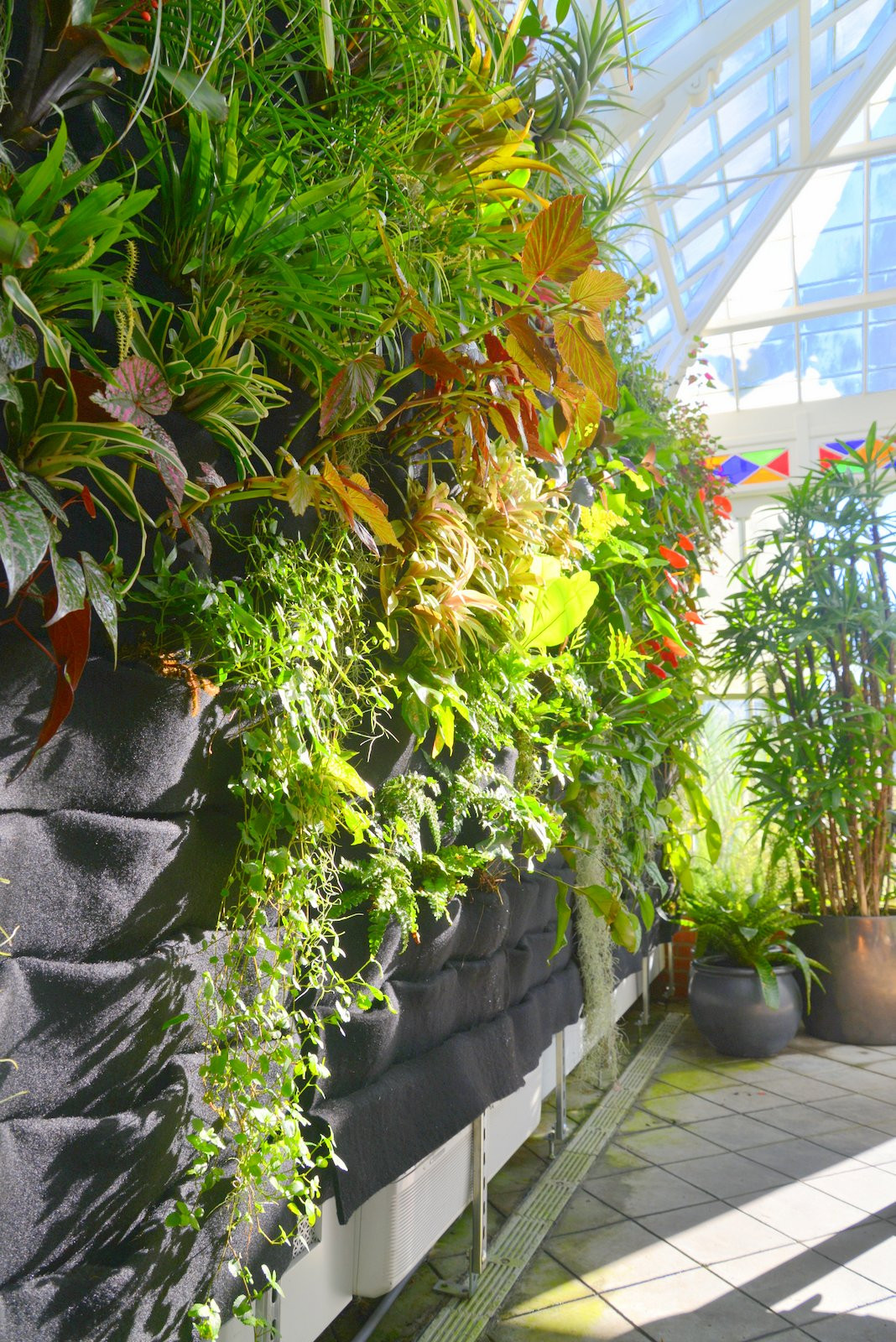 Best ideas about Vertical Plant Wall
. Save or Pin Plants Walls vertical garden systems Now.