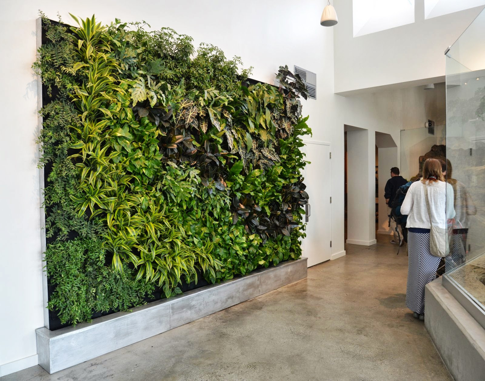 Best ideas about Vertical Plant Wall
. Save or Pin Plants Walls vertical garden systems Now.