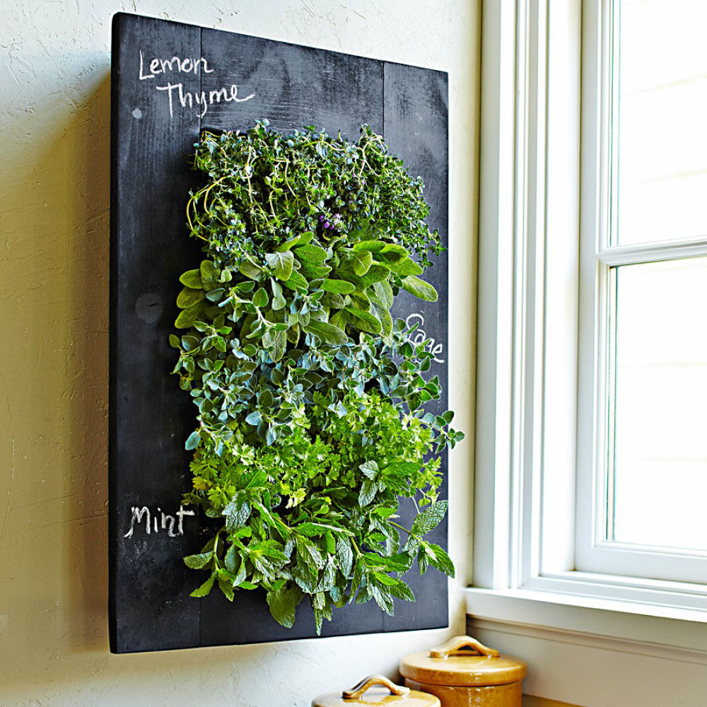 Best ideas about Vertical Plant Wall
. Save or Pin Chalkboard Vertical Wall Planter The Green Head Now.