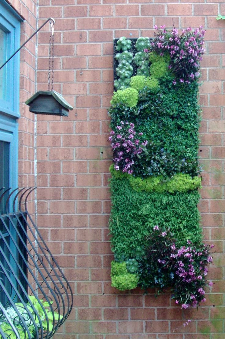 Best ideas about Vertical Plant Wall
. Save or Pin Best 25 Hanging gardens ideas on Pinterest Now.