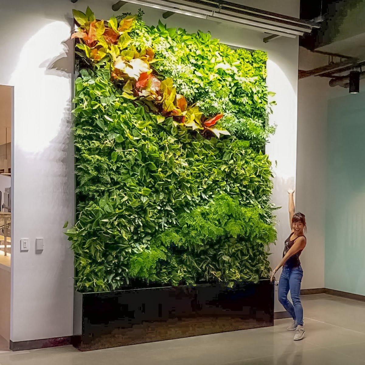 Best ideas about Vertical Plant Wall
. Save or Pin Plants Walls – Vertical Gardens & Living Wall Systems Now.