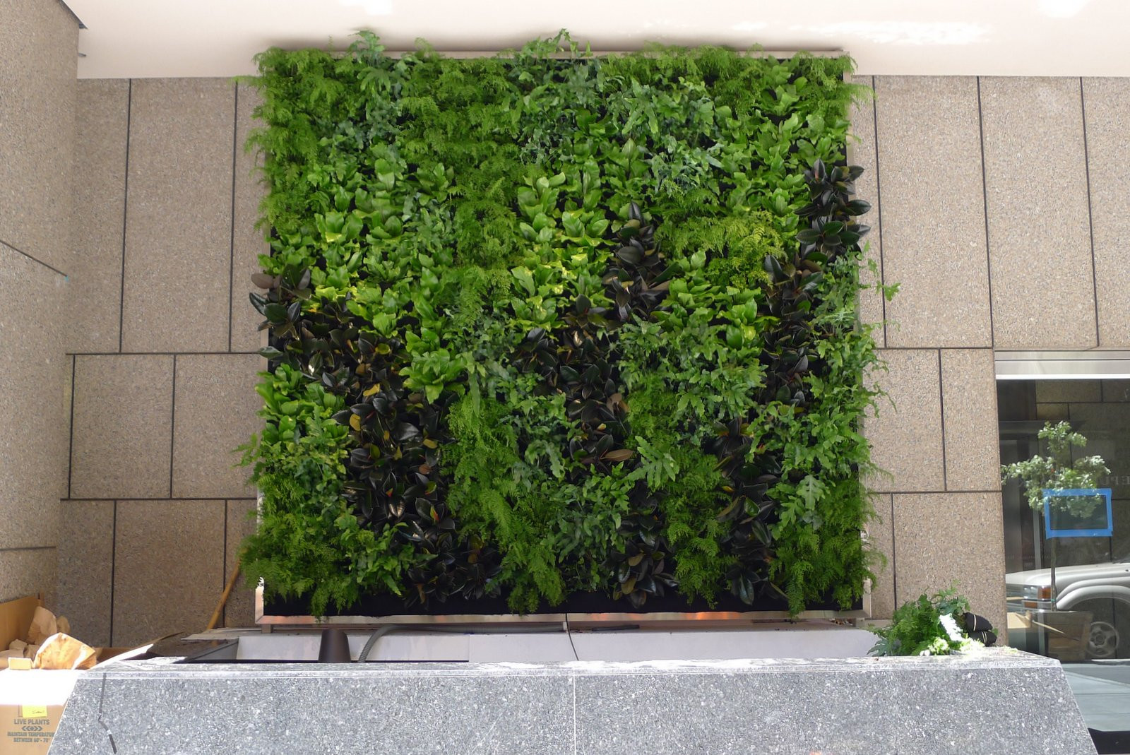Best ideas about Vertical Plant Wall
. Save or Pin Plants Walls vertical garden systems June 2012 Now.