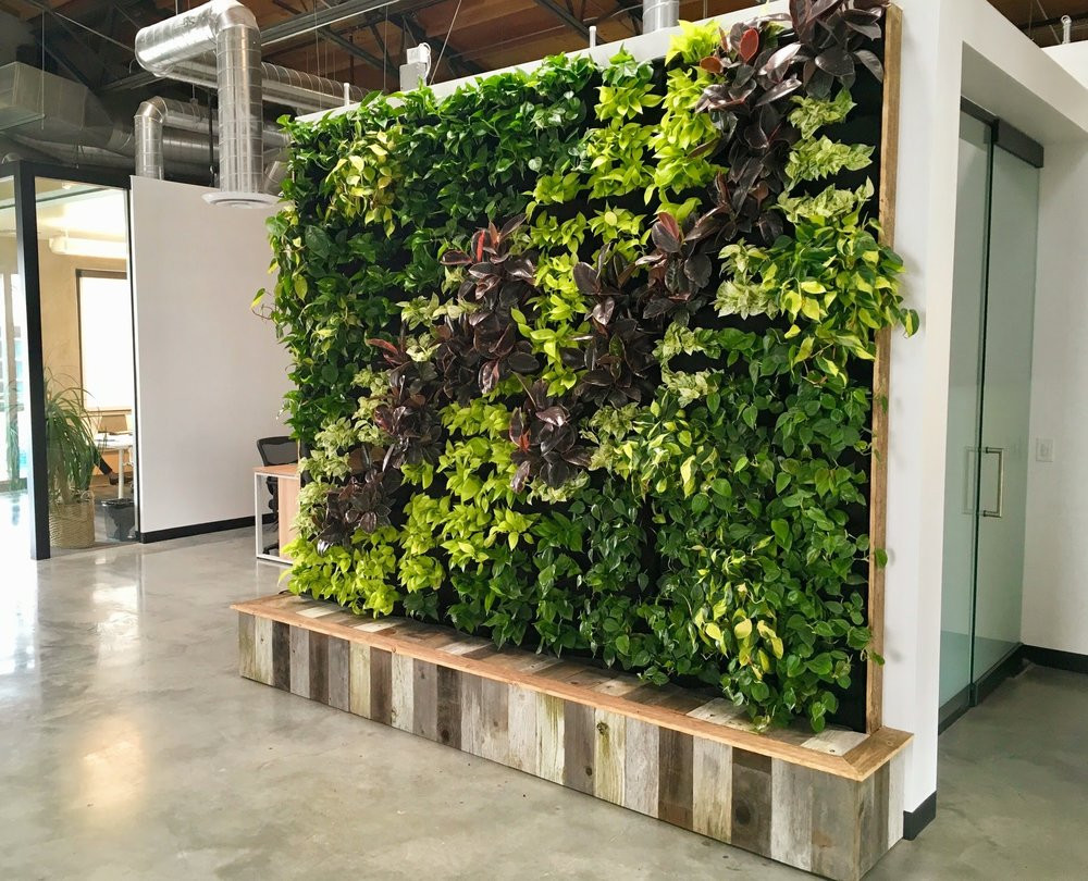 Best ideas about Vertical Plant Wall
. Save or Pin Florafelt Now.