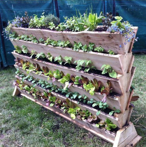 Best ideas about Vertical Vegetable Garden
. Save or Pin 48 best Vertical Ve able Gardening DIY images on Now.