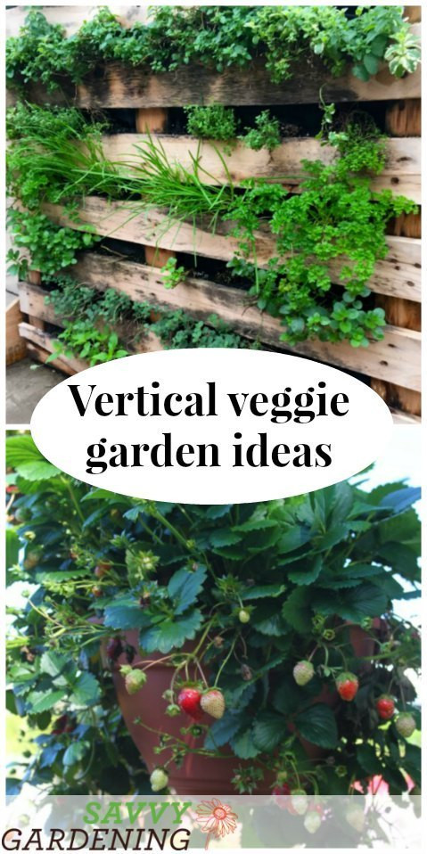 Best ideas about Vertical Vegetable Garden
. Save or Pin Vertical ve able garden ideas Now.