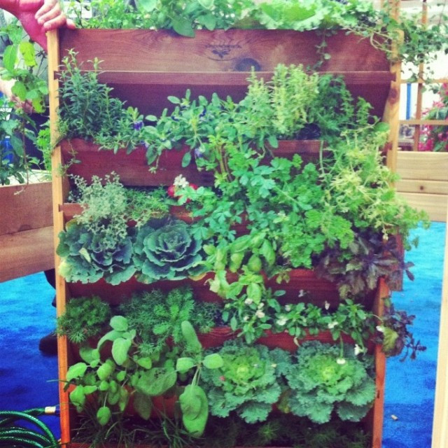 Best ideas about Vertical Vegetable Garden
. Save or Pin 20 Vertical Ve able Garden Ideas Now.