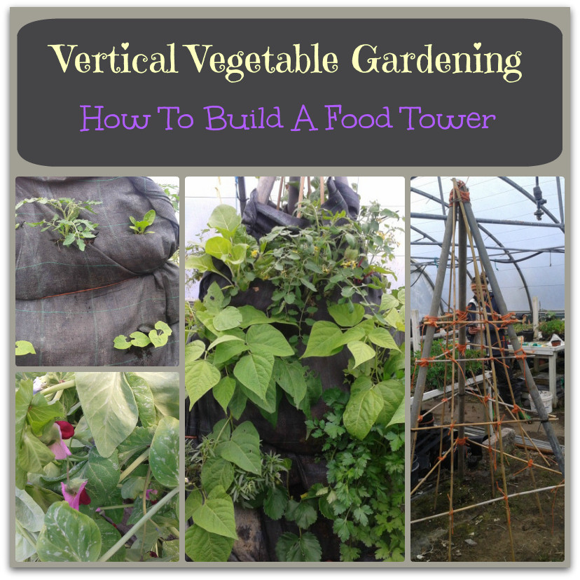 Best ideas about Vertical Vegetable Garden DIY
. Save or Pin Vertical gardening ideas for growing lots of delicious Now.