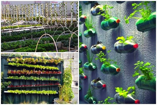 Best ideas about Vertical Vegetable Garden DIY
. Save or Pin Best 25 Vertical ve able gardens ideas on Pinterest Now.