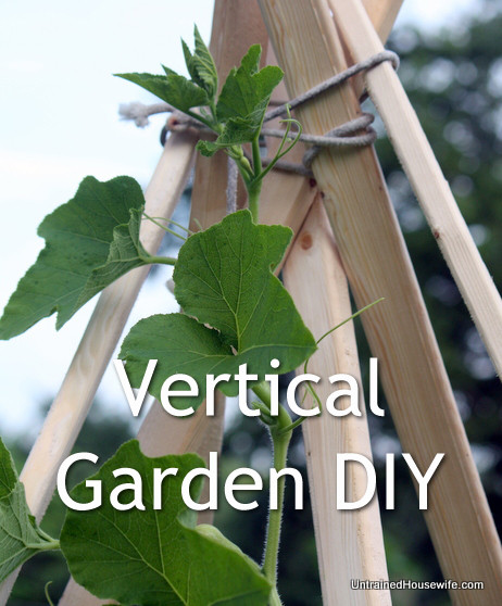 Best ideas about Vertical Vegetable Garden DIY
. Save or Pin Vertical Ve able Garden DIYs and How Tos Now.