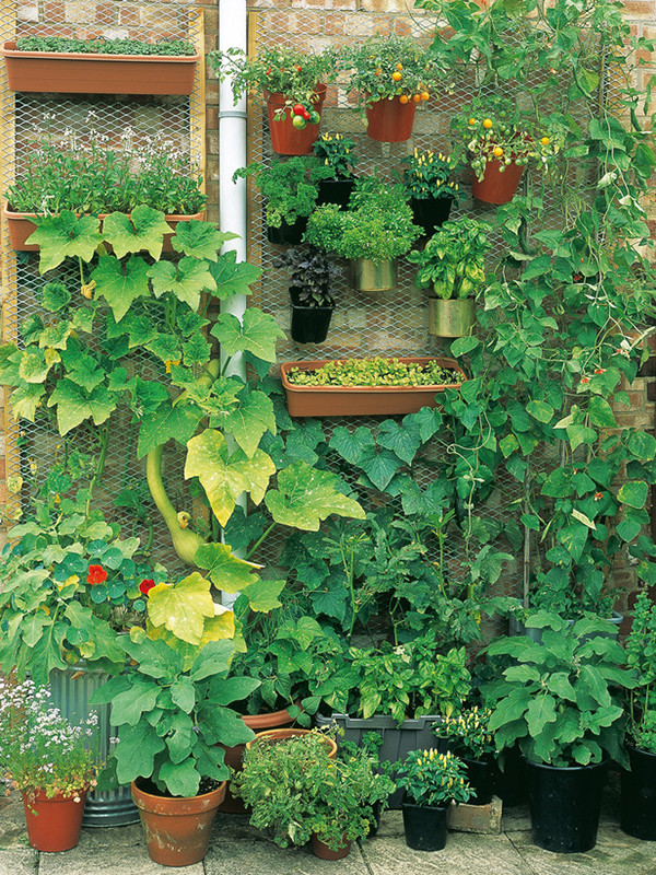 Best ideas about Vertical Vegetable Garden DIY
. Save or Pin Home Gardening in Unusual Spaces Now.