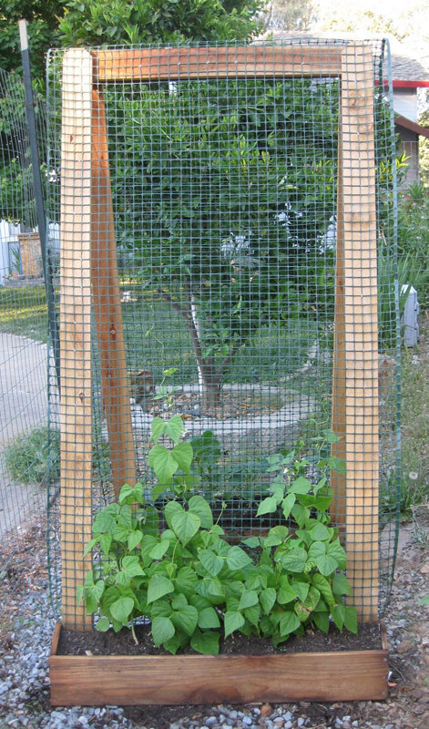 Best ideas about Vertical Vegetable Garden DIY
. Save or Pin Vertical Gardening Ideas Bonnie Plants Now.