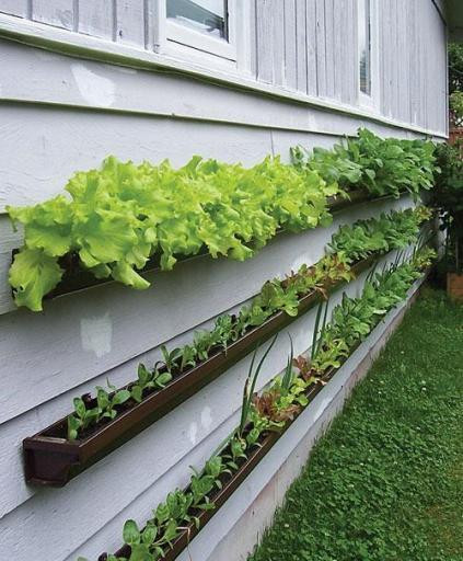 Best ideas about Vertical Vegetable Garden DIY
. Save or Pin 25 Creative DIY Vertical Gardens For Your Home Now.
