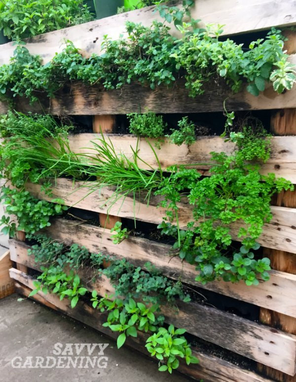 Best ideas about Vertical Vegetable Garden
. Save or Pin Vertical ve able garden ideas Now.