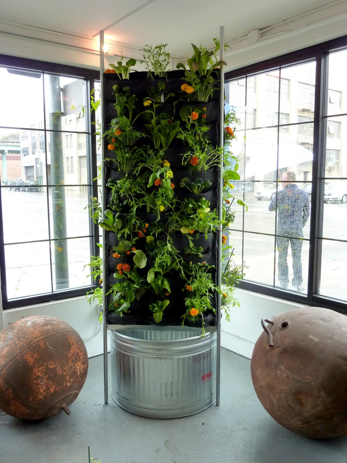 Best ideas about Vertical Vegetable Garden
. Save or Pin Aquaponic Vertical Ve able Garden Now.