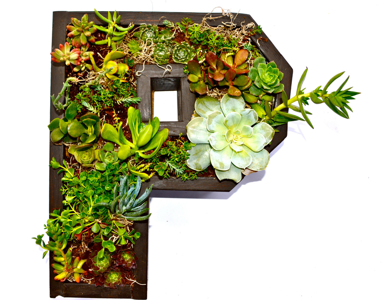 Best ideas about Vertical Wall Planter
. Save or Pin Monogrammed Vertical Wall Planter Now.