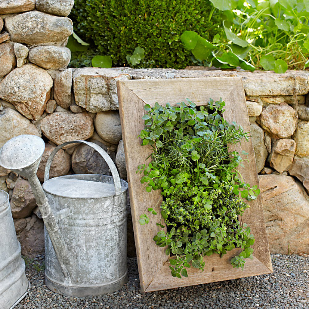 Best ideas about Vertical Wall Planter
. Save or Pin Reclaimed Barn Door Vertical Wall Planter The Green Head Now.