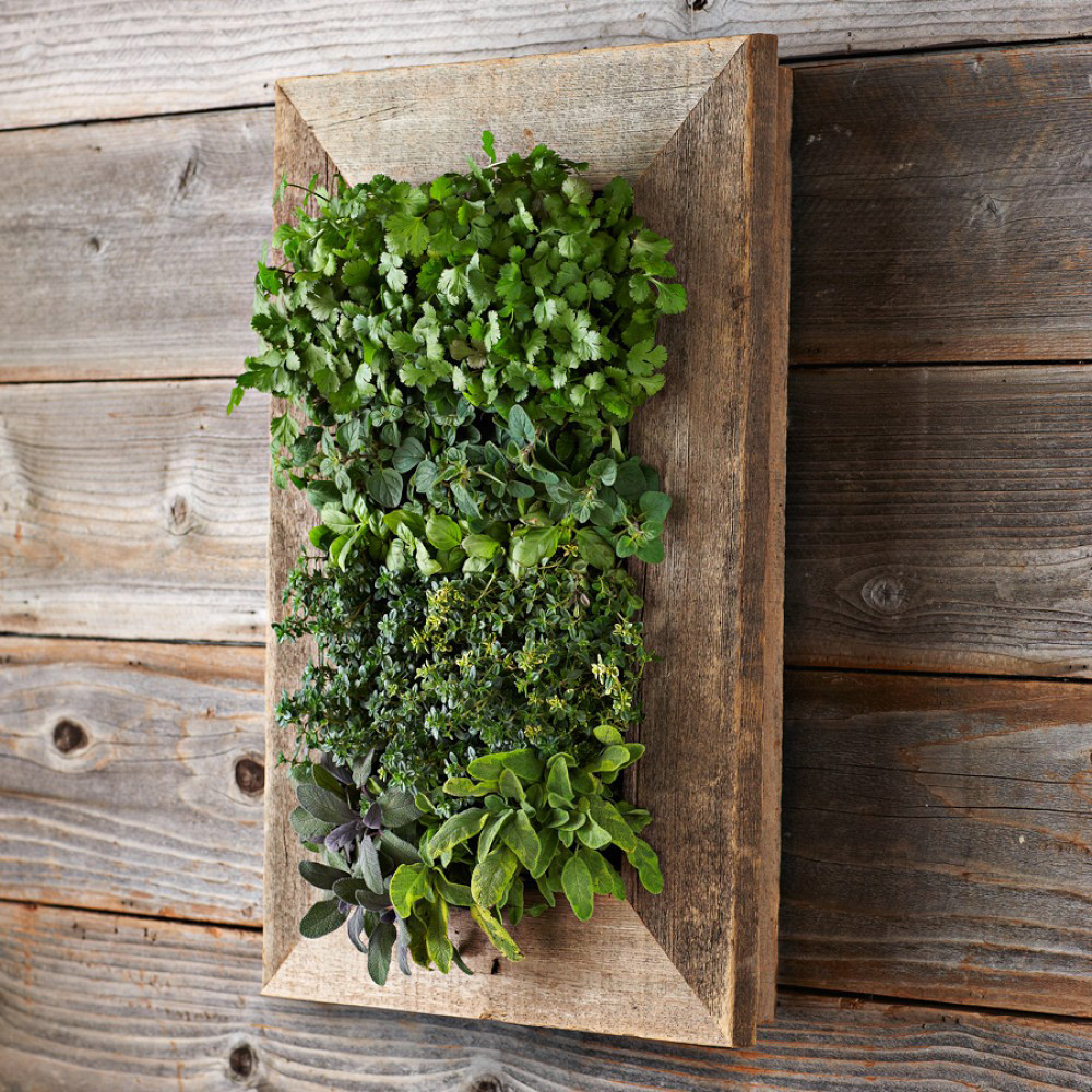 Best ideas about Vertical Wall Planters
. Save or Pin Reclaimed Barn Door Vertical Wall Planter The Green Head Now.