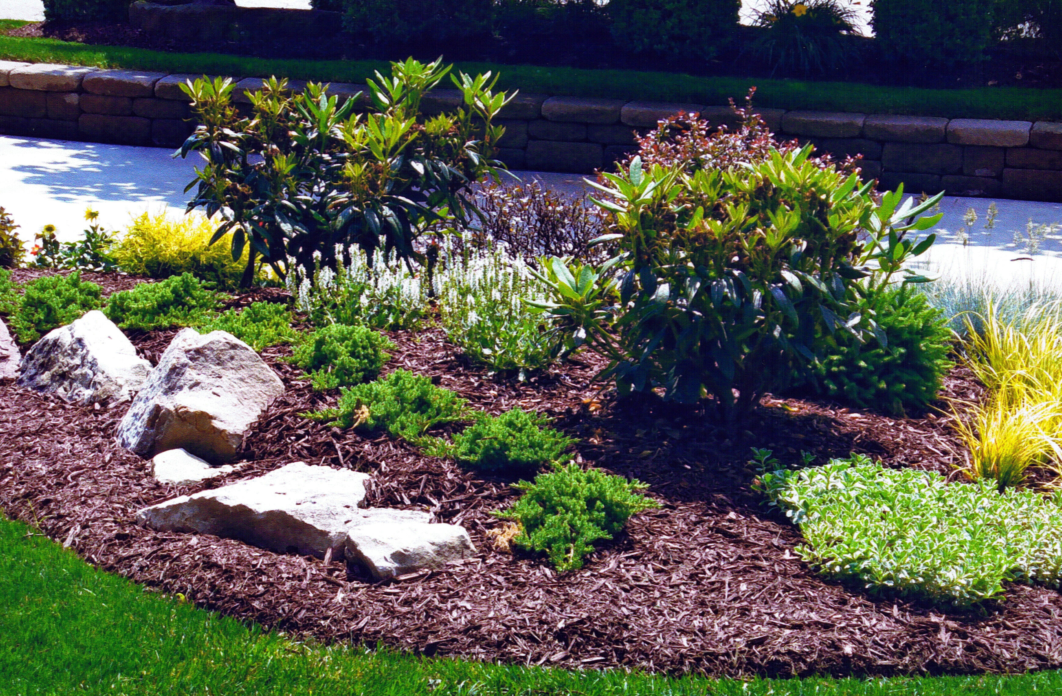 Best ideas about Very Small Front Garden Ideas
. Save or Pin fortable Front Yard And Driveway Ideas Landscaping Now.