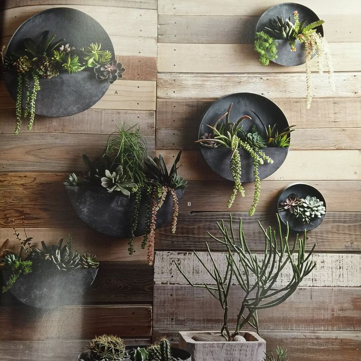 Best ideas about Wall Planters Indoor
. Save or Pin Orbea Zinc Wall Planters Now.